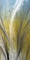 Fountain Grass III Fine Art Print