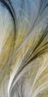 Fountain Grass IV Fine Art Print