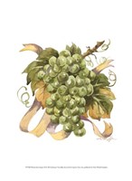 Watercolor Grapes II Fine Art Print