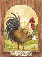 Rise N Shine Fine Art Print