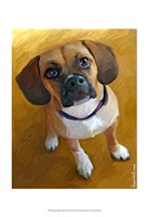 Puggle Bright Delight Fine Art Print