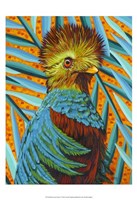 Bird in the Tropics I Fine Art Print