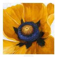 Close-Up I Fine Art Print