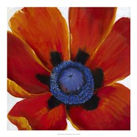 Close-Up II Fine Art Print