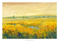 Hot Summer Day II by Timothy O'Toole - 26" x 18"