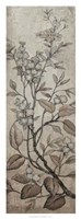 Branch & Blossoms I Fine Art Print