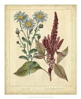 Garden Flora I Fine Art Print