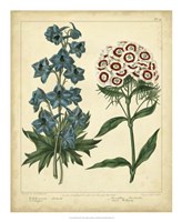 Garden Flora II Fine Art Print