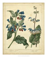 Garden Flora V Fine Art Print