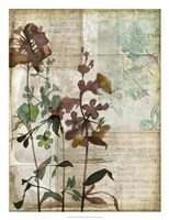Music Box Floral I Framed Print