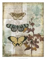 Music Box Butterflies I Framed Print