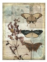 Music Box Butterflies II Fine Art Print