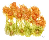 Sunlit Poppies I by Cheryl Baynes - 22" x 18"