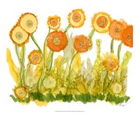 Sunlit Poppies II by Cheryl Baynes - 22" x 18"