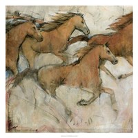 Horse Fresco I by Timothy O'Toole - 26" x 26"