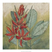 Crimson Tropical I Fine Art Print