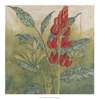 Crimson Tropical II Fine Art Print