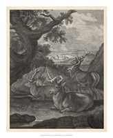 Woodland Deer VI Fine Art Print