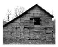 Weather Worn III Fine Art Print