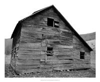 Weather Worn IV Fine Art Print