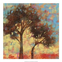Kaleidoscope Trees II Framed Print