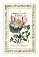 The Botanic Garden I Framed Print