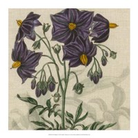 Floral Delight I Fine Art Print