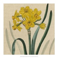 Floral Delight III Fine Art Print