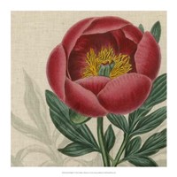 Floral Delight V Fine Art Print