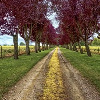 Approach Fine Art Print