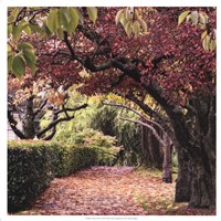 Arch of Trees by Colby Chester - 19" x 19" - $27.99