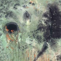 Coral & Jelly Fish II Fine Art Print