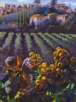 View of Tuscany Fine Art Print