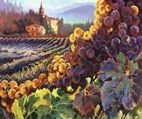 Tuscany Harvest Fine Art Print