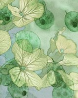 Mint Progeny III Fine Art Print