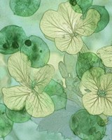 Mint Progeny IV Fine Art Print