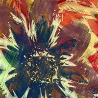 Floragraph V Fine Art Print