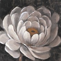 Neutral Fleur II Fine Art Print