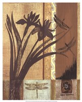 Asian Iris Fine Art Print