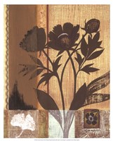 Asian Peonies Fine Art Print