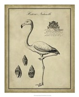Antiquarian Flamingo by Vision Studio - 18" x 22" - $27.99