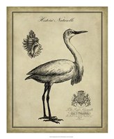 Antiquarian Egret Fine Art Print