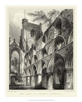 Gothic Detail VIII by R W Billings - 16" x 20"