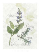 Rosemary & Sage Framed Print
