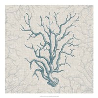 Coral Motif II Fine Art Print