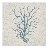 Coral Motif II Fine Art Print