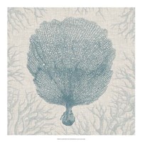 Coral Motif III Fine Art Print