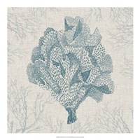 Coral Motif IV Fine Art Print