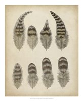 Vintage Feathers I Fine Art Print