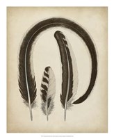 Vintage Feathers III Fine Art Print